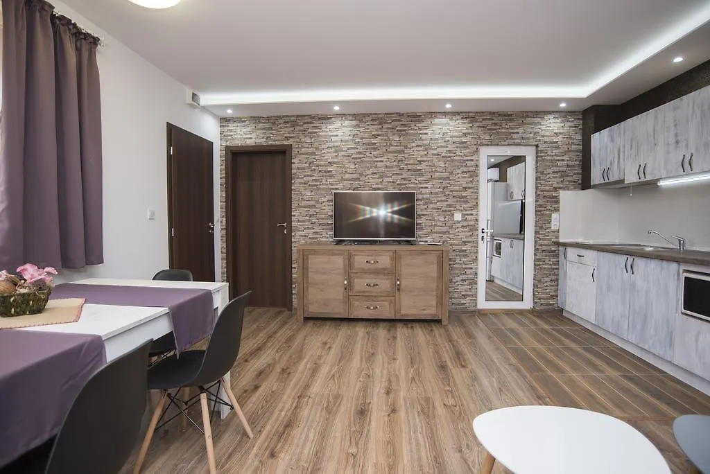 Apartment Nikol 索佐波尔
